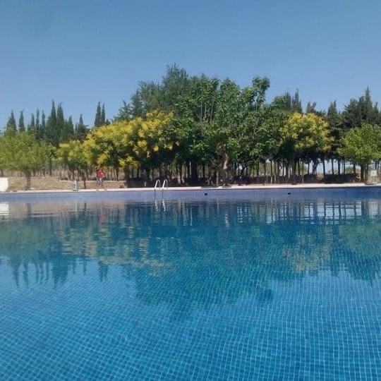 ARRENDAMENT BAR PISCINES Ajuntament De Llardecans