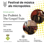 FESTIVAL DE MÚSICA ALS MICROPOBLES